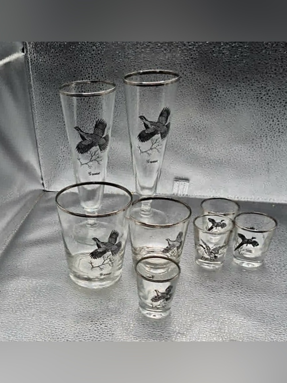 Game Bird Hunting Glassware Set of 8 Glasses with Grouse Cocktail & Shot Glasses